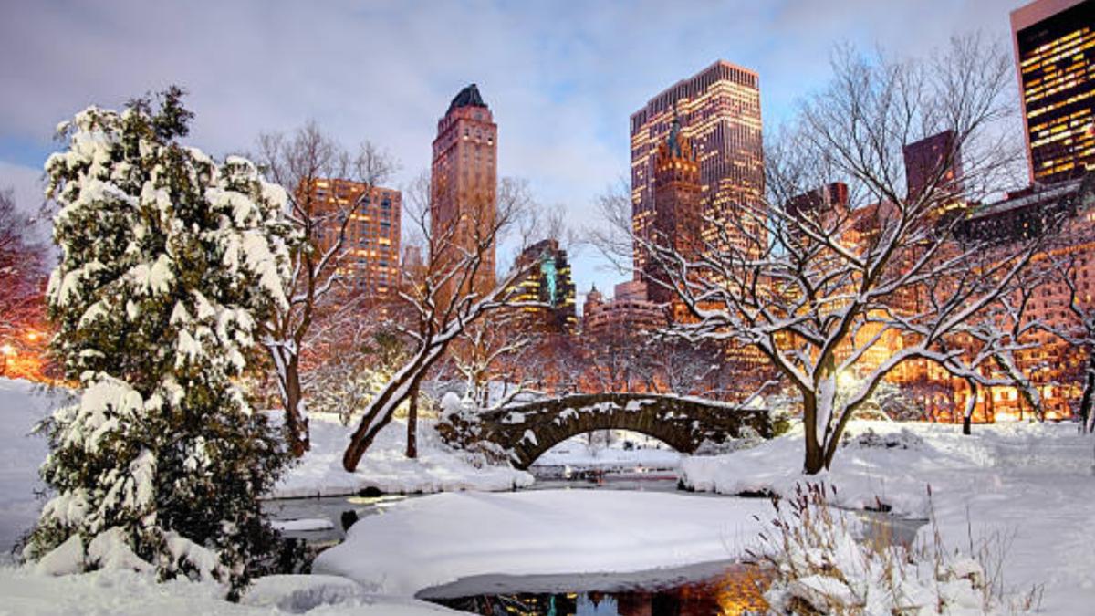 NYC Blizzard Survival Guide: What to Know Amid Travel Bans & Whiteouts